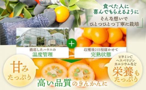 AS-027 きんかん夢工房ﾊﾞﾗｴﾃｨｰｾｯﾄ