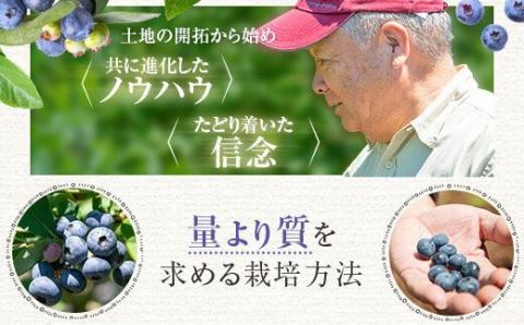 BS-019 【数量限定】ブルーベリーコンポート840g（140g×6本） (B-28)