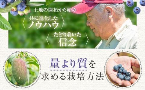 AS-338 【数量限定】ブルーベリー＆マンゴー果汁ジュース 1080g（180g×各3本）ｾｯﾄ (S-13)