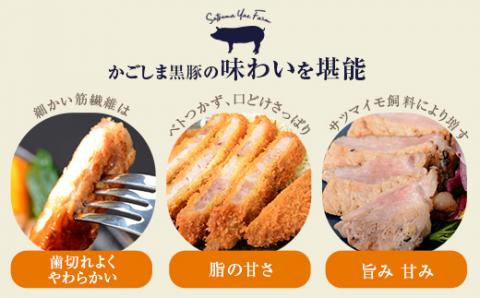 AS-021 かごしま黒豚餃子2箱 合計40個 ぎょうざ ギョーザ 薩摩八重ファーム 工房みかく亭