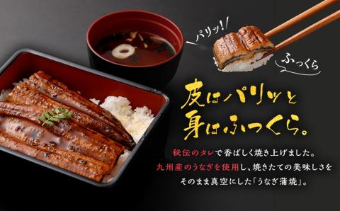 CSR-306 九州産うなぎ蒲焼き 5尾 合計約600g(約120g×5尾) タレ付