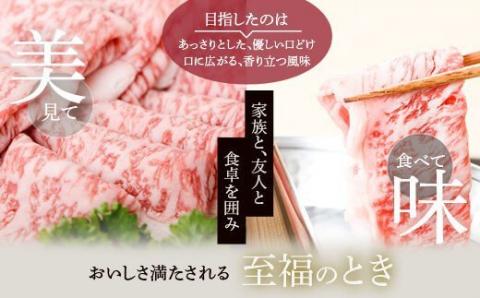 DSR-209 鹿児島県北さつま高崎牛 ローススライス　700g 【鹿児島県産黒毛和牛】