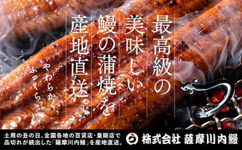 AS-143 九州産うなぎ蒲焼×1尾 + 国産きざみうなぎ ごぼう入り（タレ付き）×1袋 セット