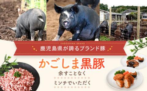 ZS-907 【訳あり】黒豚農場薩摩八重ファームのかごしま黒豚ミンチ 1kg SDGs未来都市 薩摩川内