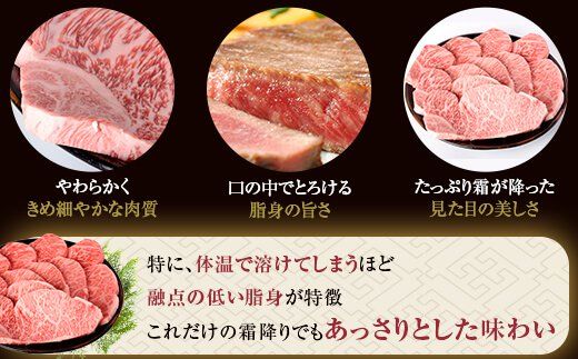 HS-104 鹿児島県産黒毛和牛ｻｰﾛｲﾝｽﾃｰｷ･すき焼きBｾｯﾄ 名産鹿児島和牛かんだ本店