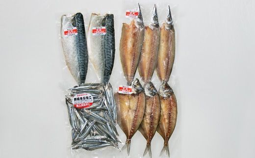AS-2049 甑島の干物詰め合わせB