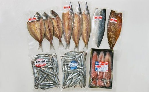 AS-826 甑島の海鮮詰め合わせ(いか)