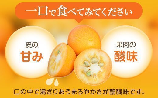 ＪＡ北さつまの鹿児島県産きんかん「いりき」【3L・32玉入】季節限定　1月より順次お届け AS-2233