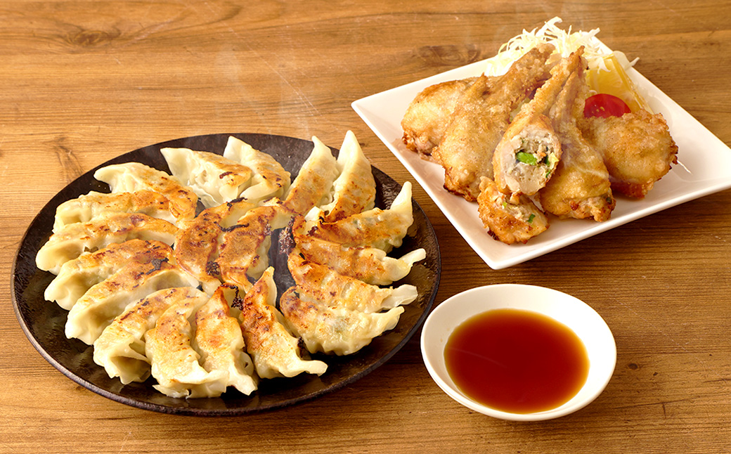 AS-2158 鹿児島 生ぎょうざ (50個)・手羽ぎょうざ (5本)セット