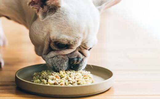 AS-2170 Buddy FOOD 04 サバ×6パック 【バディフード】