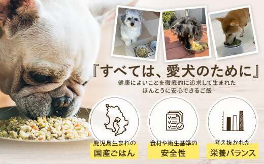 AS-2176 Buddy FOOD バラエティ6種類詰め合わせ 【バディフード】