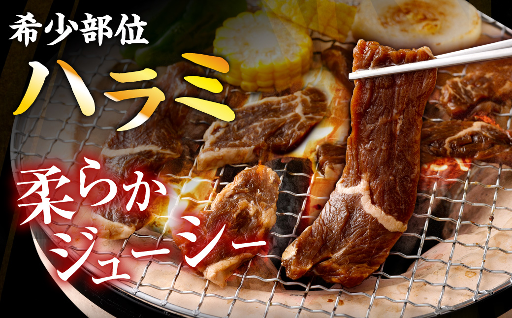 やわらか 牛ハラミ（サガリ）肉 極旨秘伝醤油タレ漬け 合計1.8kg（300g×6袋）【訳あり】ハラミ 牛肉 AS-494