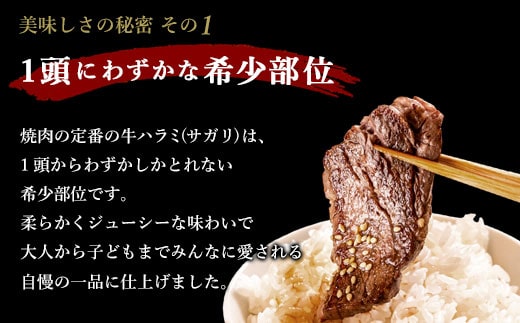 【隔月6回定期便】【訳あり】やわらか 牛ハラミ（サガリ）肉 極旨秘伝醤油タレ漬け（300g×4袋）ハラミ 牛肉 個包装 焼肉 ES-507