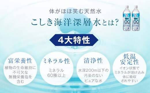 竜宮伝説(硬度100) 500ml×24本 こしき海洋深層水 AS-8115 ふるさと納税 竜宮伝説 水 ミネラルウォーター こしき海洋深層水 熱中症対策 スポーツ 水分補給 鹿児島 こしき海洋深層水株式会社
