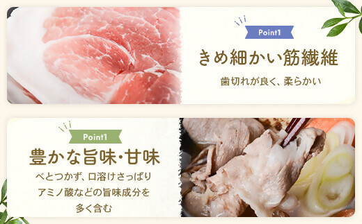 かごしま黒豚ウデ肉スライス 500g×隔月3回定期便 AS-897