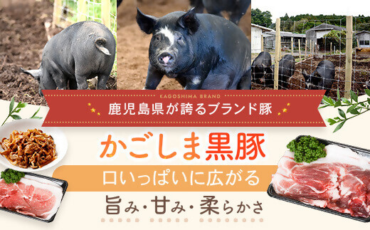 【訳あり】黒豚農場薩摩八重ファームのかごしま黒豚切り落とし（ウデ・モモ） 2kg SDGs未来都市薩摩川内 ASR-587