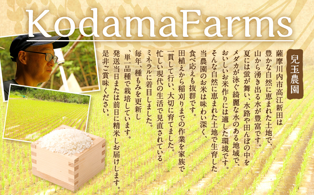 【新米先行予約】【KODAMAFARMS】鹿児島県産 あきほなみ 10kg（5kg×2袋）KODA米 精米 米 お米 【2026年1月下旬以降順次発送】 BS-643