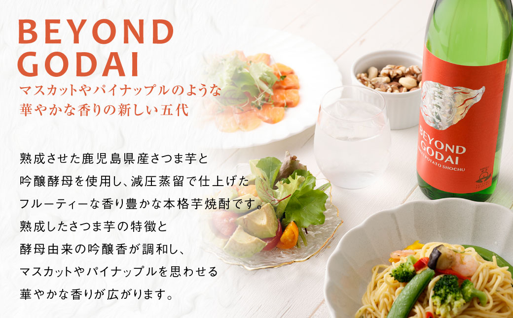BSR-521 香り系の本格焼酎 「BEYOND GODAI」1800ml×2本