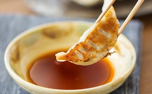 JS-110 【12回定期便】かごしま黒豚餃子 合計480個