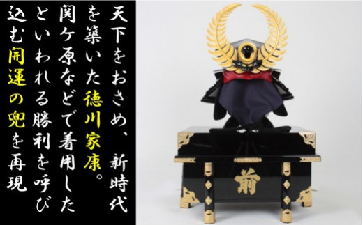 RS-801 徳川家康大黒頭巾の兜（梅）