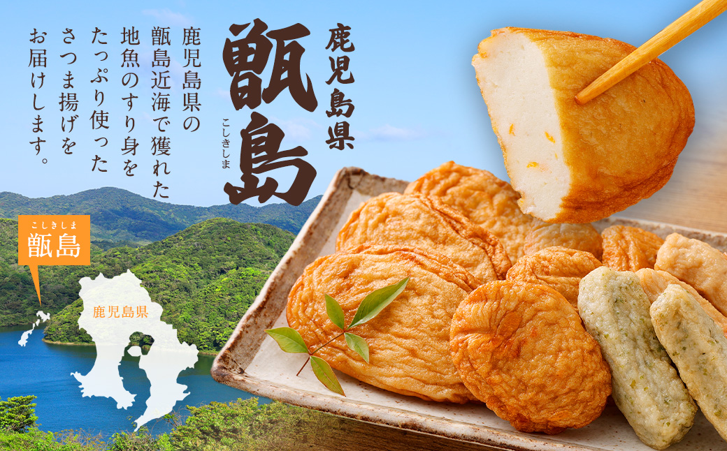 鹿児島の味 プリプリ食感のさつま揚げ 5種  さつまあげ つけあげ おつまみ ZSR-605