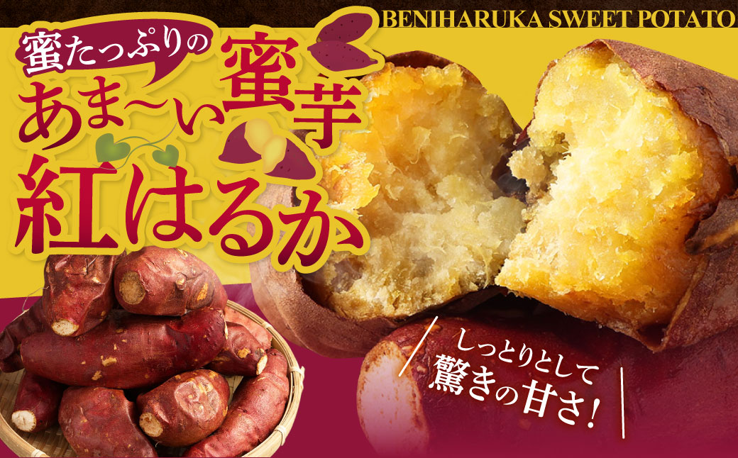 紅はるか 冷凍焼き芋 1.2kg 鹿児島 冷凍 焼き芋 甘い スイーツ ZSR-701