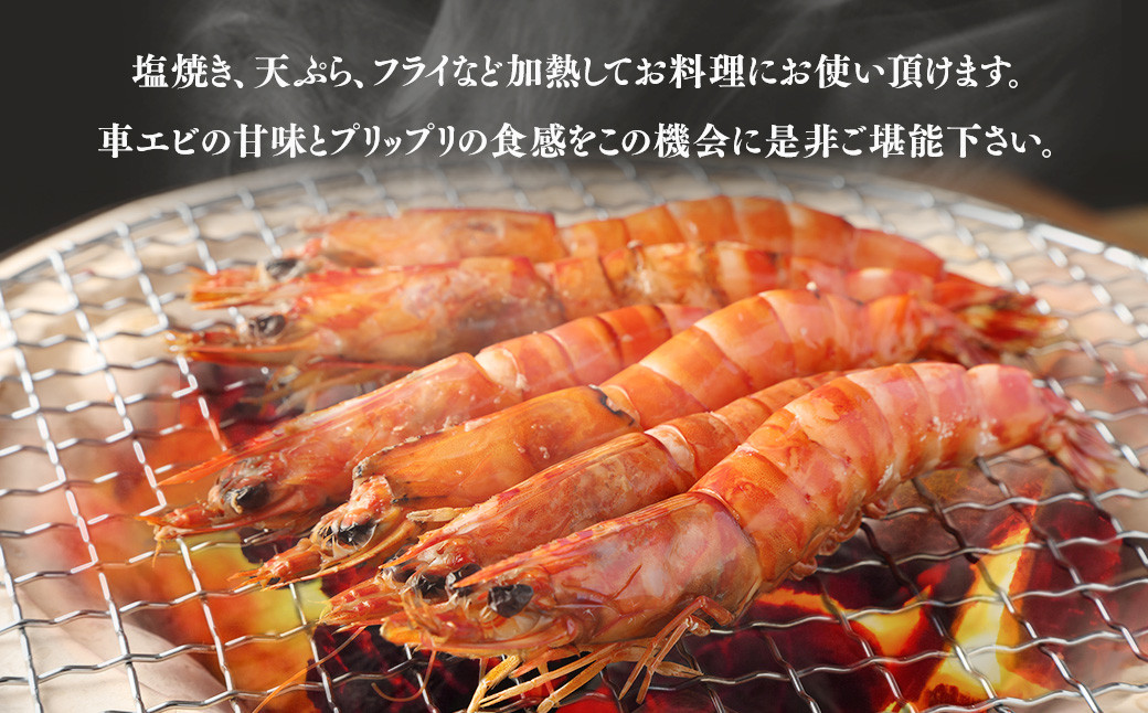 AS-746 冷凍車エビ(約1kg) (加熱調理用) 海老 車海老