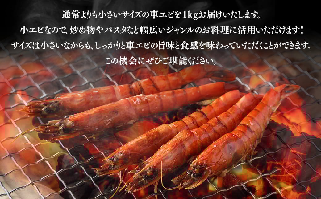 AS-157 冷凍車エビ 約1kg(小サイズ) (加熱調理用) 海老 車海老