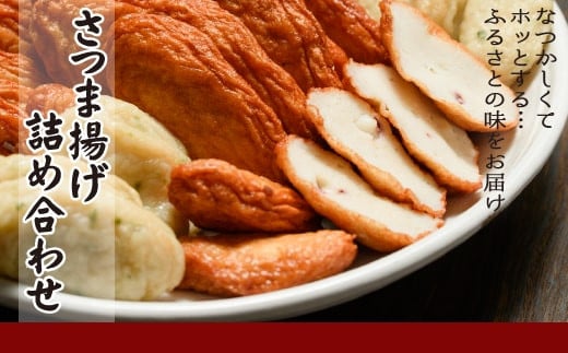 鹿児島の味 プリプリ食感のさつま揚げ 5種  さつまあげ つけあげ おつまみ ZSR-605