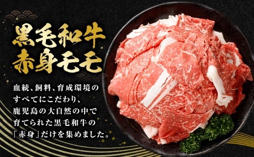 【鹿児島県産】黒毛和牛 赤身 切り落とし 計1kg (500g×2） 肉 お肉 にく ニク 牛肉 冷凍 鹿児島県 薩摩川内市 AS-8126