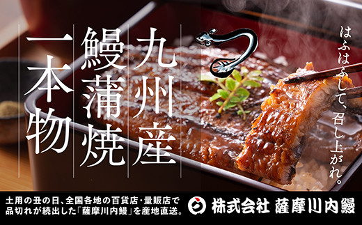 BSR-338 九州産うなぎ蒲焼 3尾 食べごたえある3人前