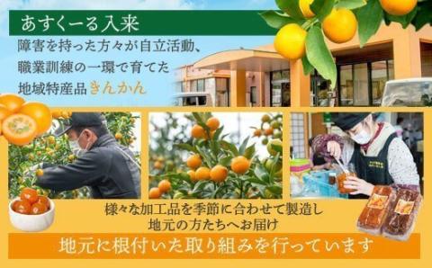 AS-113 きんかん夢工房ｾｯﾄ