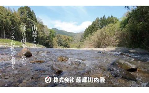 AS-2066 うなぎ肝の佃煮缶詰 60g×4個