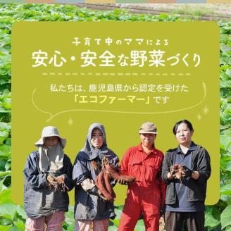 ZS-926 【2025年内発送】【訳あり】【農家直送】ママたちの想いをギュッ！薩摩で育てたさつまいも（紅はるか）洗い 規格外 7ｋｇ