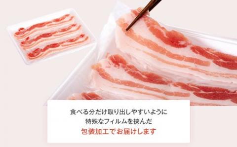 薩摩の奇蹟しゃぶしゃぶセット　２～３人前黒豚バラ肉