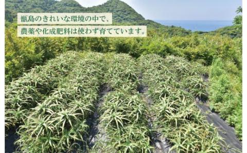 AS-525 ヒラミネの木立甘酢2000ml（1000ml×2本） 酢 お酢 ビネガーアロエ酢 発酵 甘酢 ダイエット 美容 キダチアロエ 健康 調味料 料理 お手軽 お手頃 食卓 炭酸割り 甑島 鹿