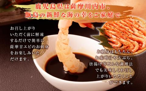 BSR-334 甑島のタカエビ（薩摩甘えび）60尾(15尾×4パック)