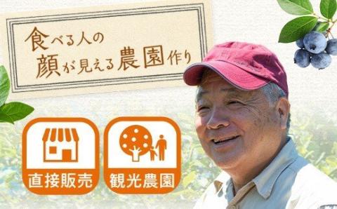 BS-019 【数量限定】ブルーベリーコンポート840g（140g×6本） (B-28)