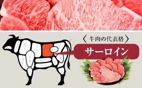 JS-210 鹿児島県産黒毛和牛ｻｰﾛｲﾝｽﾃｰｷ 1kg 名産鹿児島和牛かんだ本店