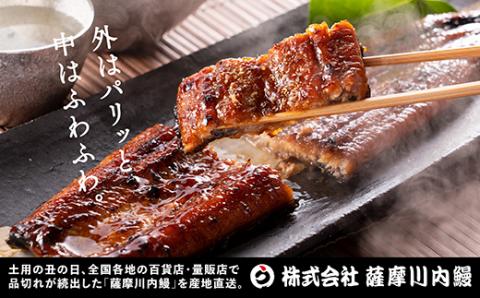 AS-143 九州産うなぎ蒲焼×1尾 + 国産きざみうなぎ ごぼう入り（タレ付き）×1袋 セット