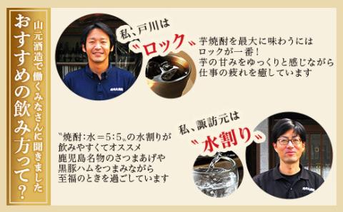 DS-112 芋焼酎 蔵の神パック 10800ml（1800ｍｌ×6本） 25度 山元酒造