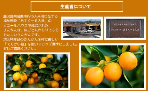 ZS-607 ジュわっとジューシーきんかんの甘露煮 3袋