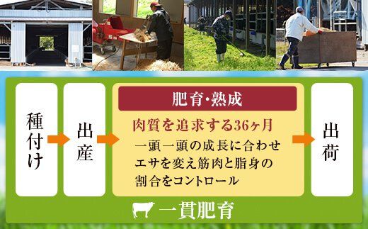 CSR-512 鹿児島県産黒毛和牛すき焼き 600g Cｾｯﾄ 名産鹿児島和牛かんだ本店