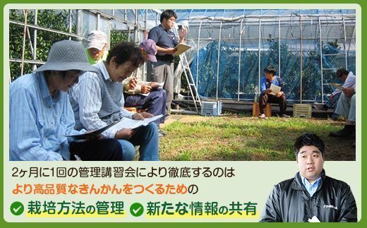 ＪＡ北さつまの鹿児島県産きんかん「いりき」【3L・32玉入】季節限定　1月より順次お届け AS-2233