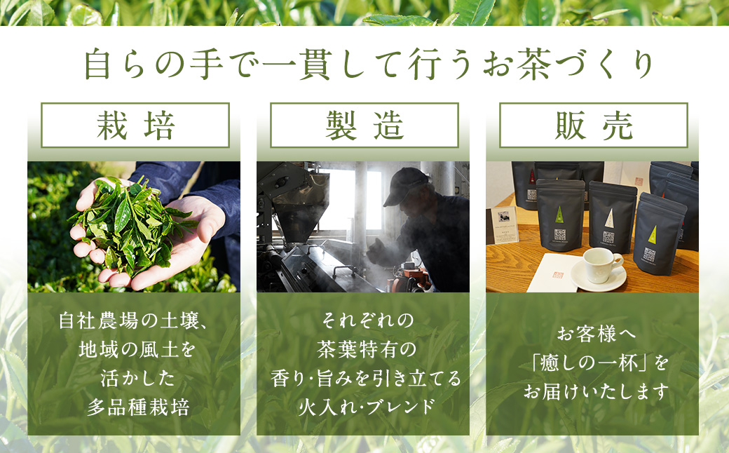 AS-2053 崎原製茶のｵﾘｼﾞﾅﾙｾｯﾄ#2 (煎茶など6種ｾｯﾄ)