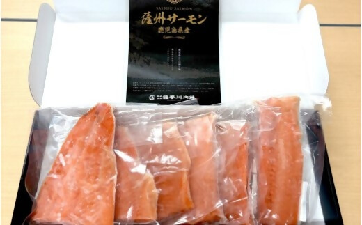 薩州サーモン 500g 鹿児島 国産 養殖 サーモン  AS-2228