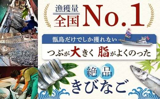 天然きびなご漁師漬け きびなご 漁師漬け 漬け丼 漁師 かごしま 薩摩川内市 ふるさと納税 AS-377
