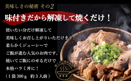 【隔月6回定期便】【訳あり】やわらか 牛ハラミ（サガリ）肉 極旨秘伝醤油タレ漬け（300g×4袋）ハラミ 牛肉 個包装 焼肉 ES-507