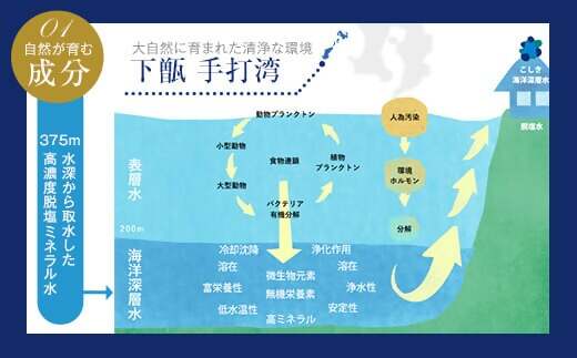 BS-549 瑚四季ｷﾞﾌﾄｾｯﾄ/ﾊﾞﾗｴﾃｨｰｾｯﾄ こしき海洋深層水