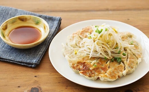 JS-110 【12回定期便】かごしま黒豚餃子 合計480個